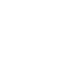 Biometric Authorization Icon